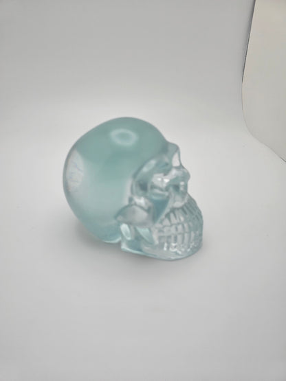 Epoxy skull